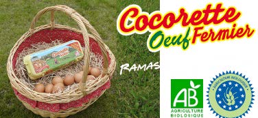 偉迪捷大字符噴碼機實現Kettle Foods外箱噴碼